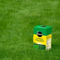 Miracle-Gro Water Soluble Lawn Food - 200m² -Garden Tool Store 12808721 5454832955646332