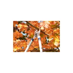 Spear & Jackson Razorsharp Tele Bypass Lopper -Garden Tool Store 12810811 1464833196929633