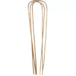 Garden Bamboo Loop Support - 1200mm