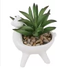 Artificial Alpaca Spikey Succulent