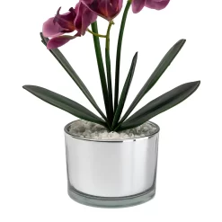 Orchid With Silver Glass Pot - Purple -Garden Tool Store 12879285 1054864281948609