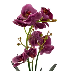 Orchid With Silver Glass Pot - Purple -Garden Tool Store 12879285 2084864281975504