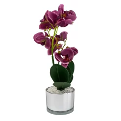 Orchid With Silver Glass Pot - Purple -Garden Tool Store 12879285 4804864281923592