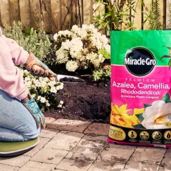 Miracle Gro Premium Azalea, Camellia & Rhododendron Ericaceous Compost - 40L -Garden Tool Store 12882812 1004843671886080