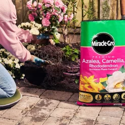 Miracle Gro Premium Azalea, Camellia & Rhododendron Ericaceous Compost - 40L -Garden Tool Store 12882812 1924843671918789