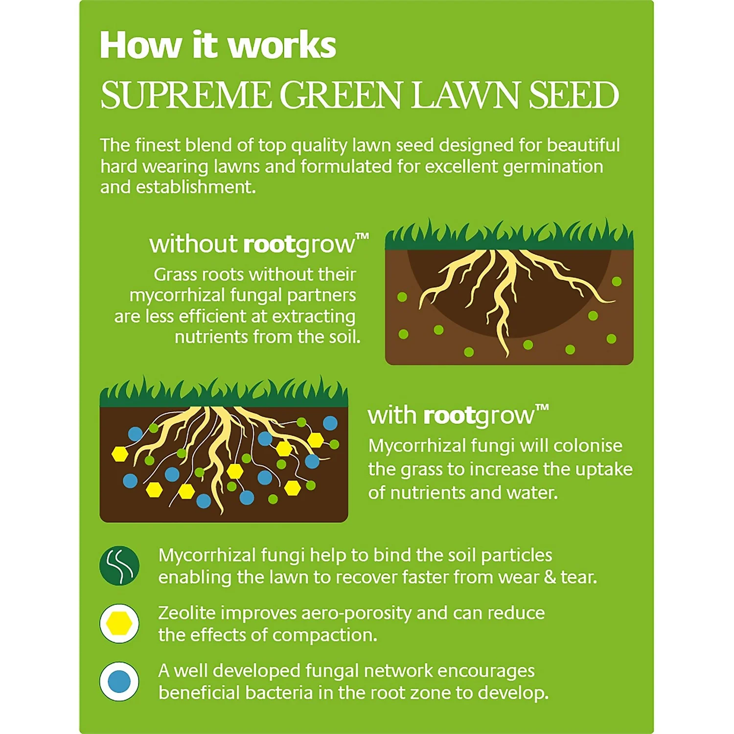 Empathy Supreme Green Lawn Seed With Rootgrow™ 2 Empathy Supreme Green Lawn Seed With Rootgrow™ - Image 2