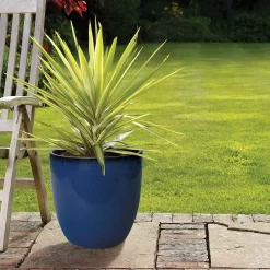 Garden Tool Store -Garden Tool Store 12885404 1175058899199969