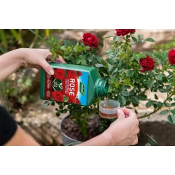 Westland Rose Specialist Liquid Plant Food Concentrate - 1l -Garden Tool Store 12886481 7044936610878716