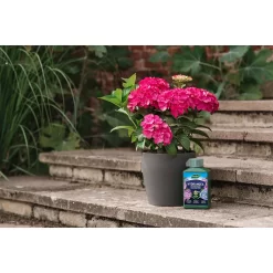 Westland Hydrangea Feed - 1l 9 Westland Hydrangea Feed - 1l -Garden Tool Store 12886486 5014971590603901