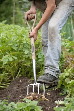 Spear & Jackson Traditional Stainless Digging Fork -Garden Tool Store 12904675 1274851072244143