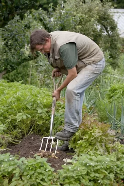 Spear & Jackson Traditional Stainless Digging Fork -Garden Tool Store 12904675 2754851072222033