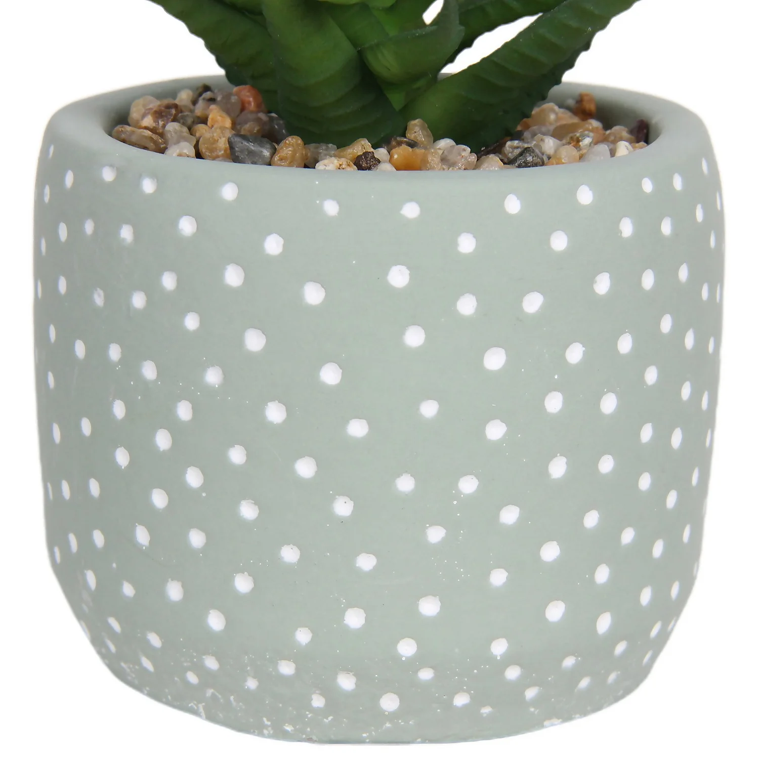 Small Succulent - Green 5 Small Succulent - Green - Image 5