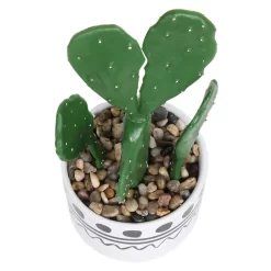 Cactus In Abstract Pot -Garden Tool Store 12909502 1064869235554777