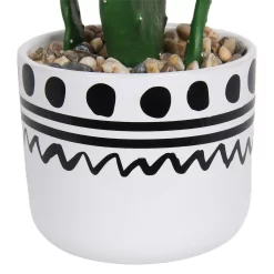 Cactus In Abstract Pot -Garden Tool Store 12909502 2064869235687110