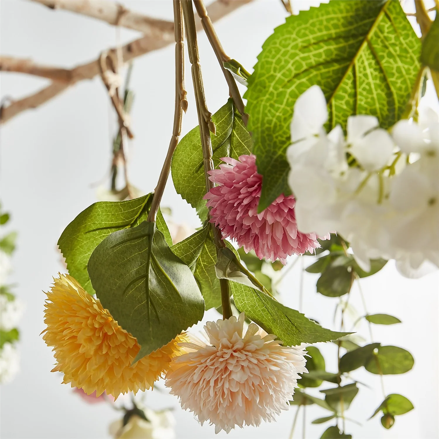 Chrysanthemum - Pink 2 Chrysanthemum - Pink - Image 2