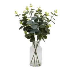 Eucalyptus In Glass Vase