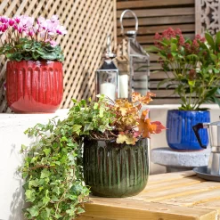 Chiswick Running Pot Green - 30cm 9 Chiswick Running Pot Green - 30cm -Garden Tool Store 13973644 3415011242646731