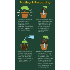 Westland Bonsai Potting Mix Peat Free 4L -Garden Tool Store 14013787 2185003754340767